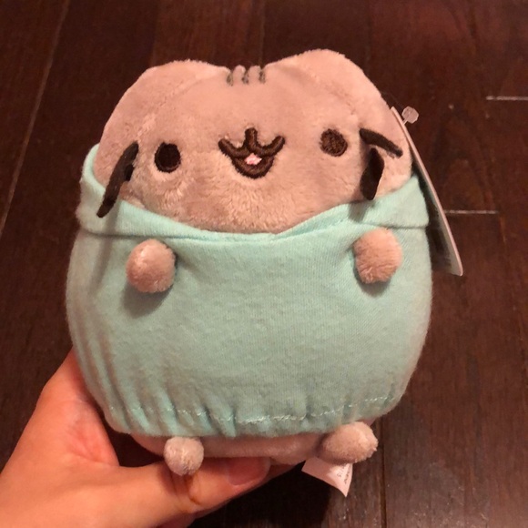 Pusheen Other - Brand New Spring 2019 Pusheen Box Hoodie Plush